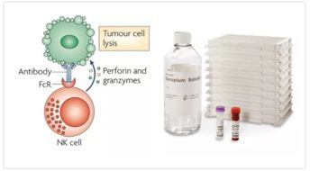 ADCC細(xì)胞技術(shù)在單抗研發(fā)與細(xì)胞治療中的經(jīng)典應(yīng)用