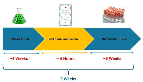 人工智能重塑細(xì)胞株開發(fā) Klone 4.0引領(lǐng)細(xì)胞技術(shù)新紀(jì)元