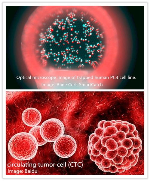 德國(guó)Nanoscribe超高精度雙光子微納3D打印設(shè)備 引領(lǐng)細(xì)胞技術(shù)研發(fā)與應(yīng)用的革命